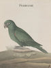Storia naturale di Saint-Domingue Pl007 - René de Rabi — vista dell’opera
