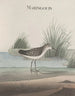 Storia naturale di Saint-Domingue Pl051 - René de Rabi — vista dell’opera