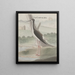 Storia naturale di Saint-Domingue Pl052 - René de Rabi — quadro incorniciato alla parete
