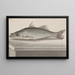 Storia naturale di Saint-Domingue Pl. 070 - René de Rabi — quadro incorniciato alla parete