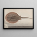 Storia naturale di Saint-Domingue Pl080 - René de Rabi — quadro incorniciato alla parete