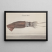 Storia naturale di Saint-Domingue Pl099 - René de Rabi — quadro incorniciato alla parete