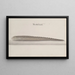 Histoire Naturelle de Saint-Domingue Pl. 111 - René de Rabi — quadro incorniciato alla parete
