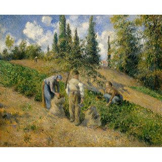 Reproduction La Récolte, Pontoise - Camille Pissarro