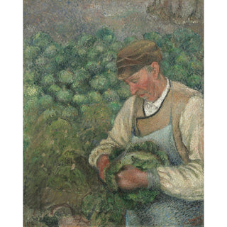 Reproduction Le jardinier - Vieux paysan au chou - Camille Pissarro