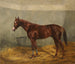 Le cavallo da corsa Fantasma - Richard Benno Adam — vista dell’opera