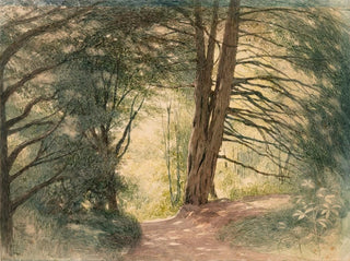 Boxhill, Surrey - Richard Doyle — vista dell’opera