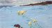Giochi nella neve - Richard Friese — vista dell’opera