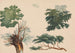 Alberi e fogliame - Richard Pettigrew Leitch — vista dell’opera