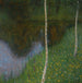 Rivage con betulle - Gustav Klimt — vista dell’opera