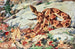 Serpente testa di rame e serpente corallo - Robert Bruce Horsfall — vista dell’opera