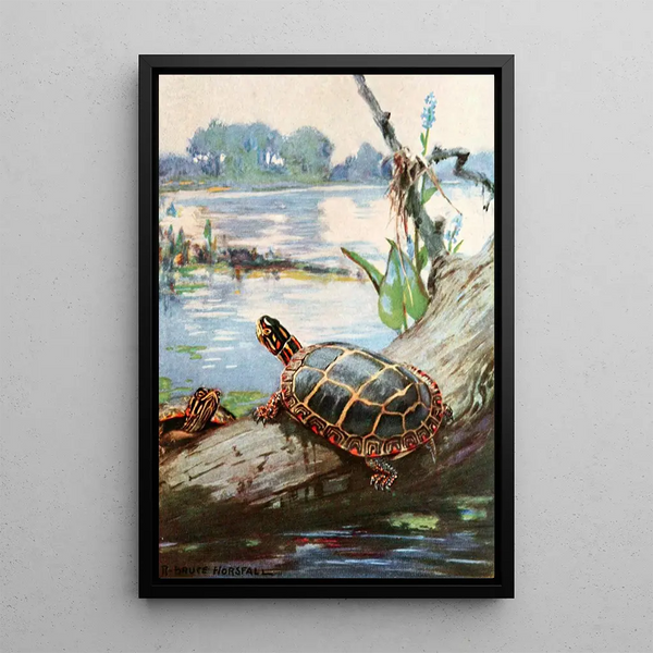 La tortue peinte - Robert Bruce Horsfall — quadro incorniciato alla parete