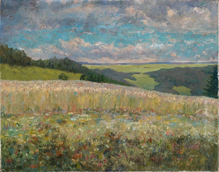 Paesaggio estivo vicino a Lauterbach in Assia superiore - Robert Engelhorn — vista dell’opera