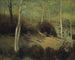 Primavera nella foresta di Fontainebleau - Robert Henri — vista dell’opera