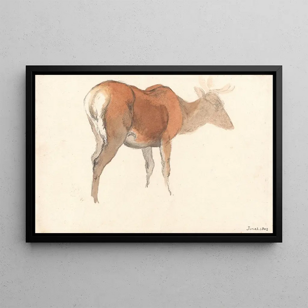 Un Cervo - Robert Hills — quadro incorniciato alla parete