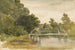 Riflessi in uno stagno boscoso - Robert Hills — vista dell’opera