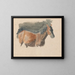 Schizzo di un cavallo - Robert Hills — quadro incorniciato alla parete