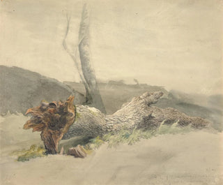 L'albero caduto - Robert Hills — vista dell’opera
