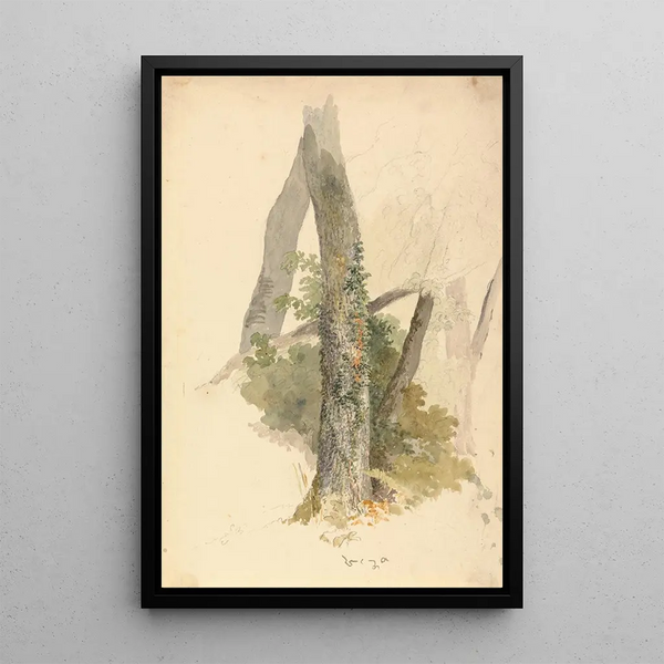 Studio di albero con edera rampicante su un ceppo - Robert Hills | Reproduction — quadro incorniciato alla parete