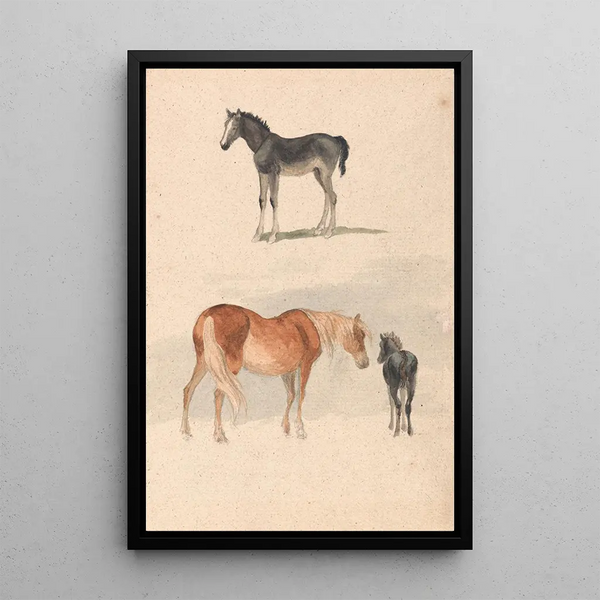 Due studi: un puledro e una giumenta con puledro - Robert Hills | Reproduction — quadro incorniciato alla parete
