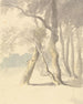 Studio degli alberi - Robert Hills — vista dell’opera
