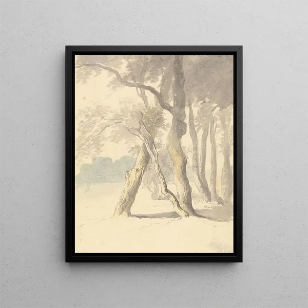 Studio degli alberi - Robert Hills — quadro incorniciato alla parete
