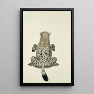 Robert Jacob Gordon - Crocuta crocuta Spotted hyena.webp