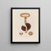 Agaricus campestris ou champignon de champ - Robert John Thornton — quadro incorniciato alla parete