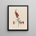 Antirrhinum majus ou grande gueule de loup - Robert John Thornton — quadro incorniciato alla parete