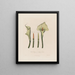 Calla etiope o Calla africana - Robert John Thornton — quadro incorniciato alla parete