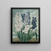 Glicinias - Robert John Thornton — quadro incorniciato alla parete