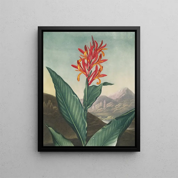 Roseau indiano (conflitto di casi) - Robert John Thornton — quadro incorniciato alla parete