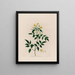 Jasminum le Gelsomino - Robert John Thornton — quadro incorniciato alla parete