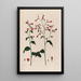 Nicotiana Tabac - Robert John Thornton — quadro incorniciato alla parete