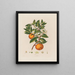 Arancione - Robert John Thornton — quadro incorniciato alla parete