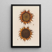Tournesol mûr - Robert John Thornton — quadro incorniciato alla parete