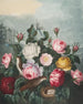 Roses - Robert John Thornton — vista dell’opera
