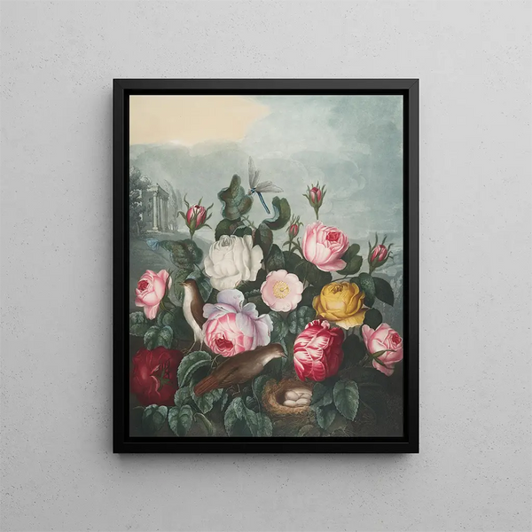 Roses - Robert John Thornton — quadro incorniciato alla parete