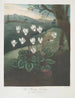 Le Cyclamen de Perse - Robert John Thornton — vista dell’opera