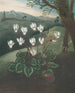 Le Cyclamen de Perse - Robert John Thornton — vista dell’opera