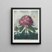 Le Rhododendron pontique - Robert John Thornton — quadro incorniciato alla parete