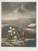 Le Perce-neige - Robert John Thornton — vista dell’opera