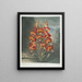 Le Lys superbe - Robert John Thornton — quadro incorniciato alla parete