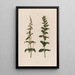 Les deux sexes sur des plantes différentes Épinard - Robert John Thornton — quadro incorniciato alla parete