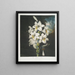 Il giglio bianco con foglie variegate - Robert John Thornton — quadro incorniciato alla parete