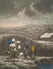 Le Perce-neige - Robert John Thornton — vista dell’opera