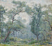 Saules anciens - Robert Reid — vista dell’opera