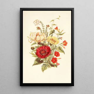 Robert Tyas - Scarlet Ipomcea Honeysuckle White Heath Sweet Sultan.webp