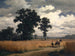Raccolta di grano - Robert Zünd — vista dell’opera