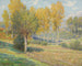 Paesaggio - Rodolphe Wytsman — vista dell’opera